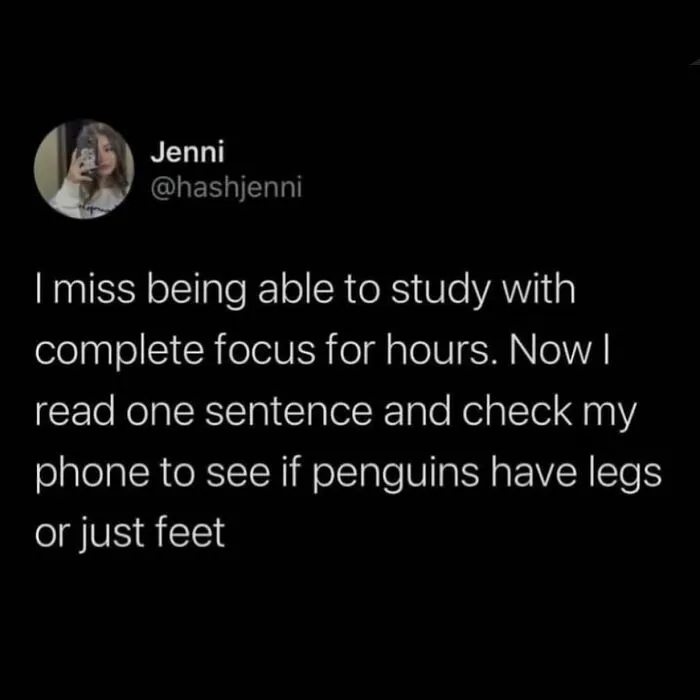 A relatable meme about focus challenges and distractions, humorously questioning if penguins have legs or just feet.