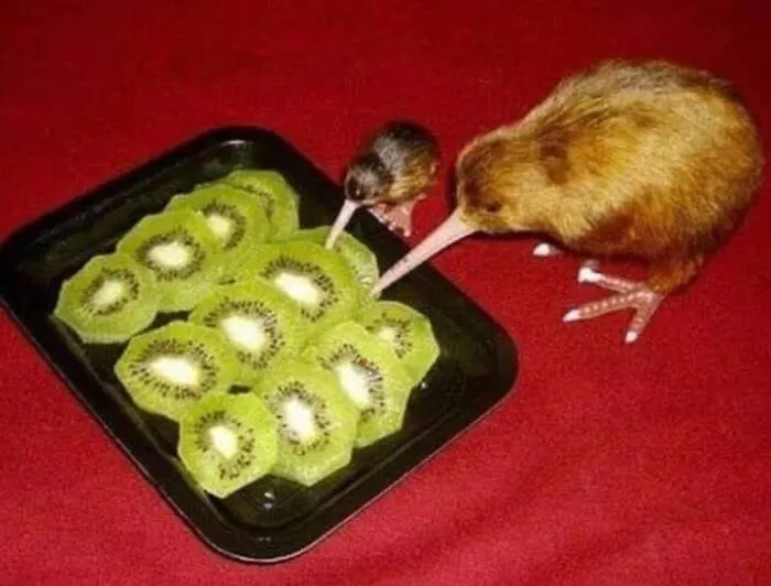 This FB Page Is Brimming With ‘Pics That Go Hard,’ Here Are 30 Of The Coolest