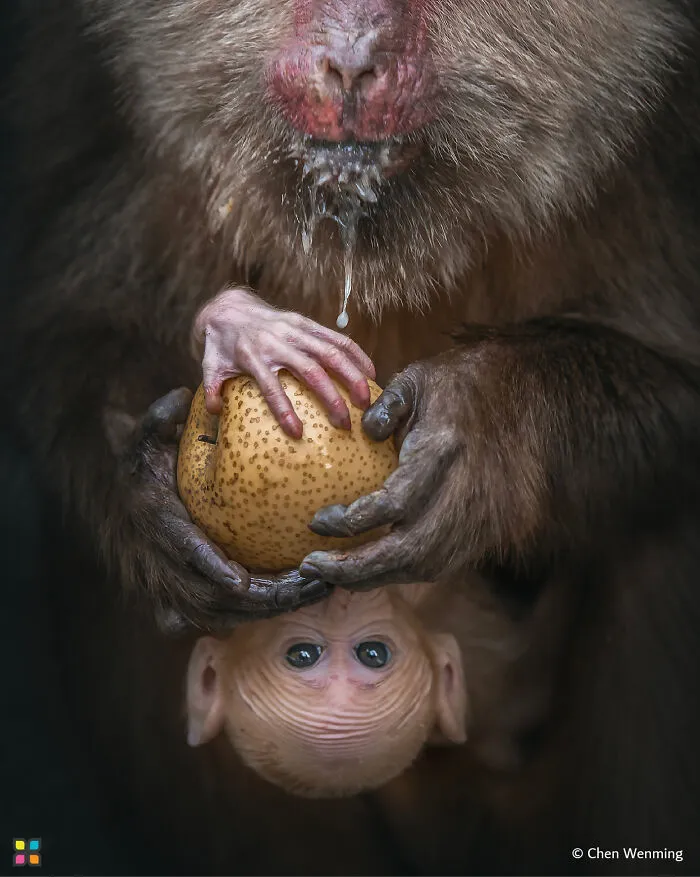 Sharing Is Caring By Chen Wenming