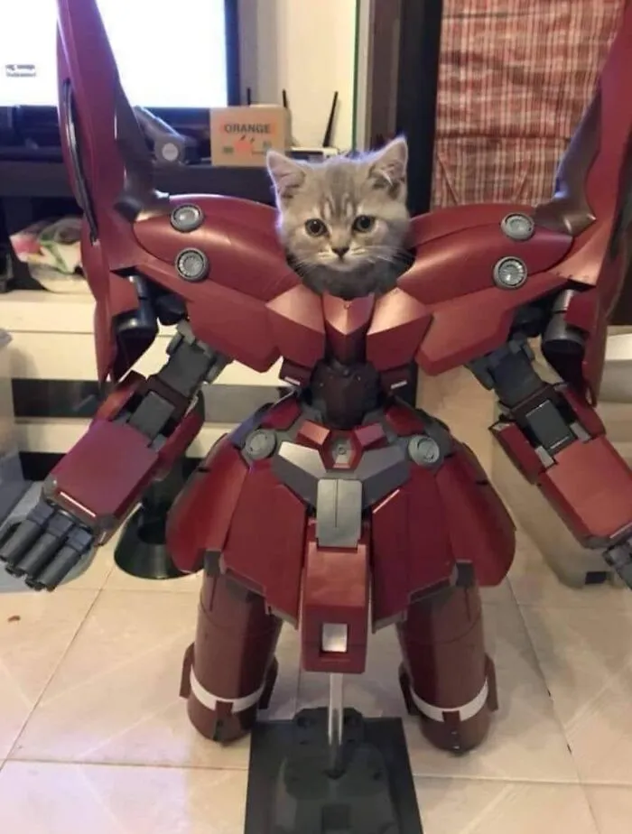 This FB Page Is Brimming With ‘Pics That Go Hard,’ Here Are 30 Of The Coolest