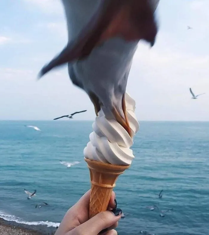 This FB Page Is Brimming With ‘Pics That Go Hard,’ Here Are 30 Of The Coolest
