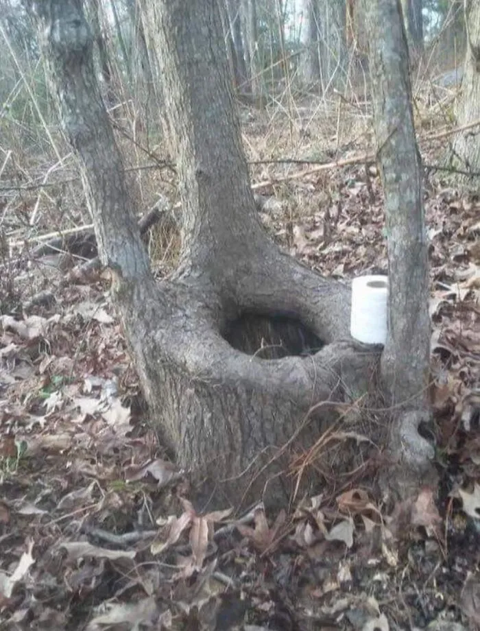 This FB Page Is Brimming With ‘Pics That Go Hard,’ Here Are 30 Of The Coolest