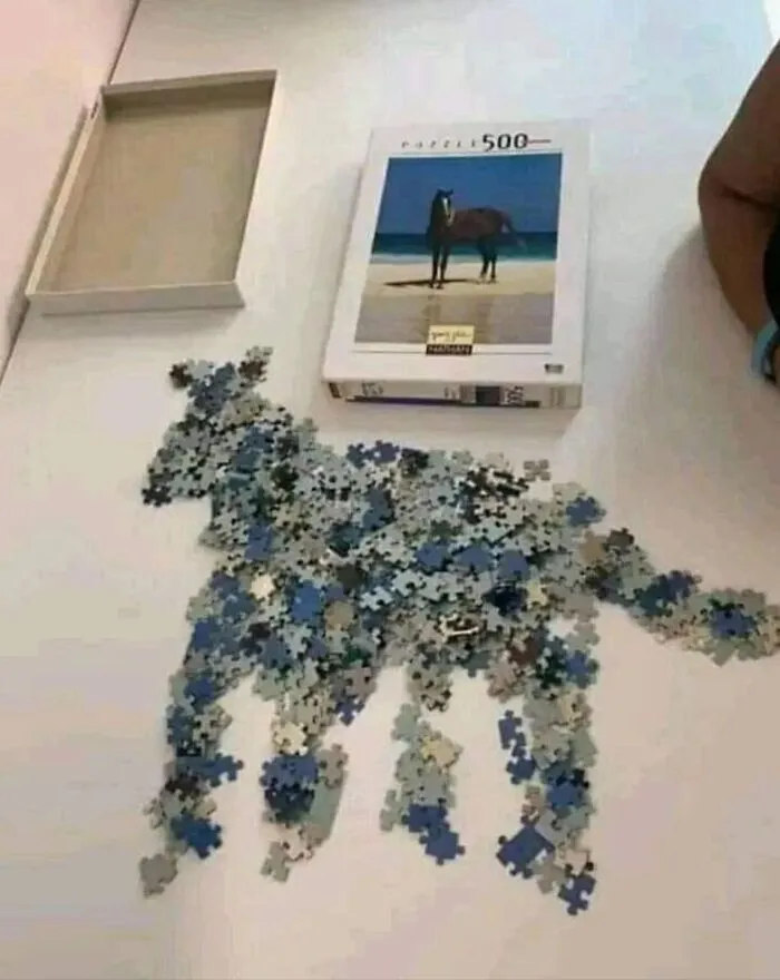 This FB Page Is Brimming With ‘Pics That Go Hard,’ Here Are 30 Of The Coolest