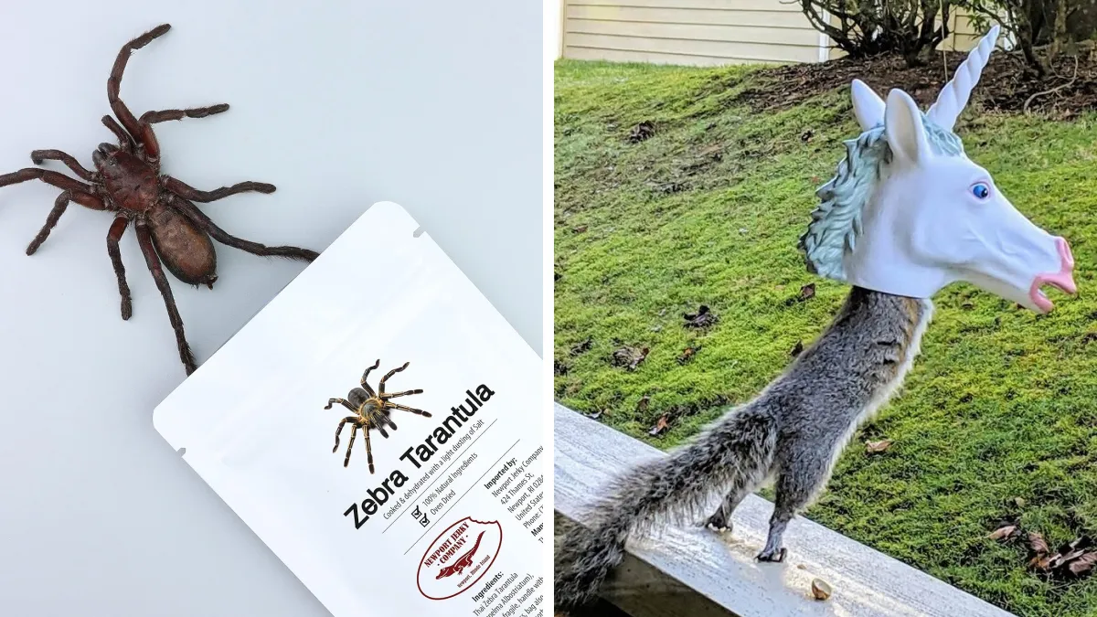 We've Rounded Up 50 Items From 2024 That Prove Laughter Is The Best Medicine