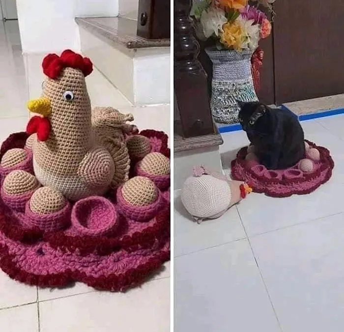47 De las mejores fotos de animales haciendo lo que les da la gana