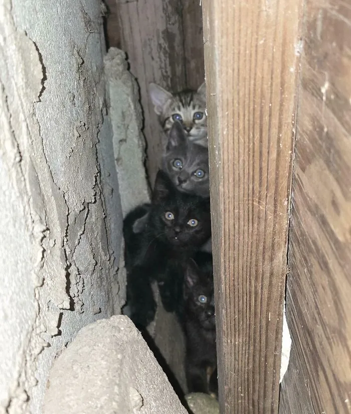 It Appears I Interrupted An Important Meeting