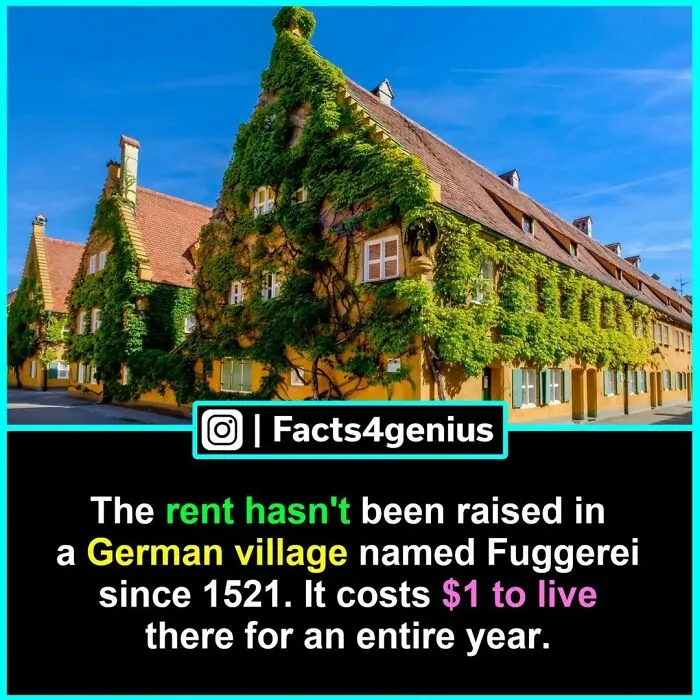 50 Posts From “Facts For Genius” That Might Teach You Something New (New Pics)