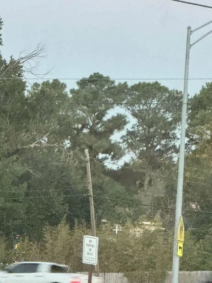 Odd-Shaped Clearing