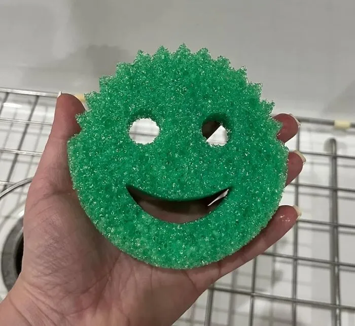 Tackle Tough Messes And Grime With The Iconic <a Style="Display:inline;" Href="Https://Www.amazon.com/Scrub-Daddy-Color-Sponge-Scratch-Free/Dp/B0cj1nhwgx?ie=utf8&th=1&linkcode=ll1&tag=bpwoodpecker-20&linkid=a42678113e3b6c9754d76d99e3002992&language=en_us&ref_=as_li_ss_tl" Target="_blank"><span Style="Font: Inherit; Color: #d74b1f;"> Scrub Daddy Sponges</Span>