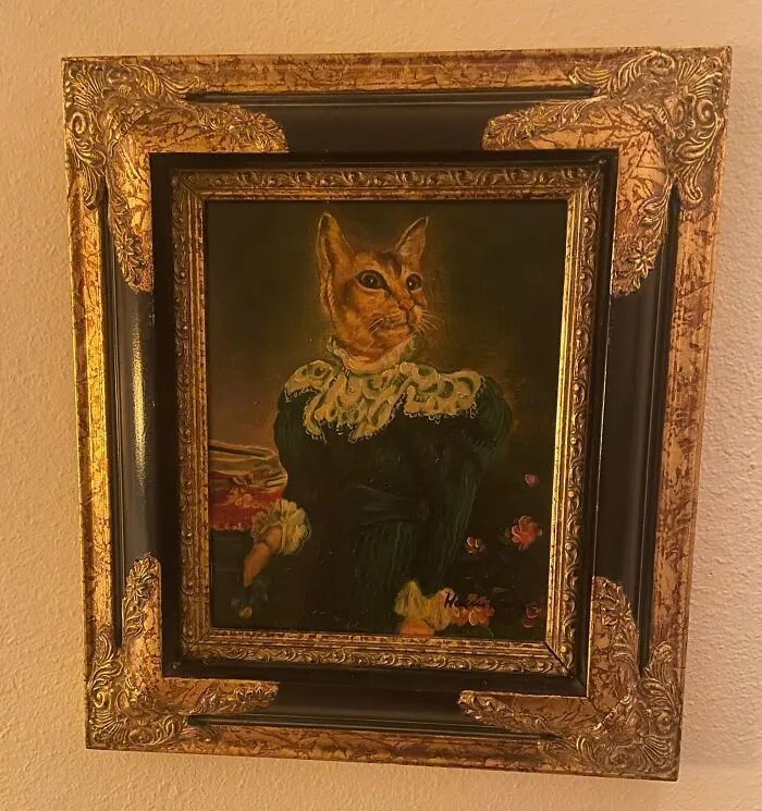 Got This Today At My Local Thrift For $6.00