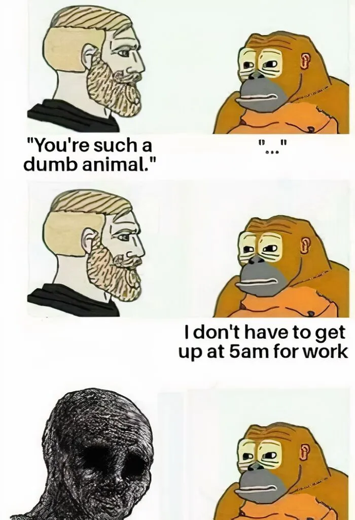 50 Funny Memes For When You’re Too Tired To Do Anything Else