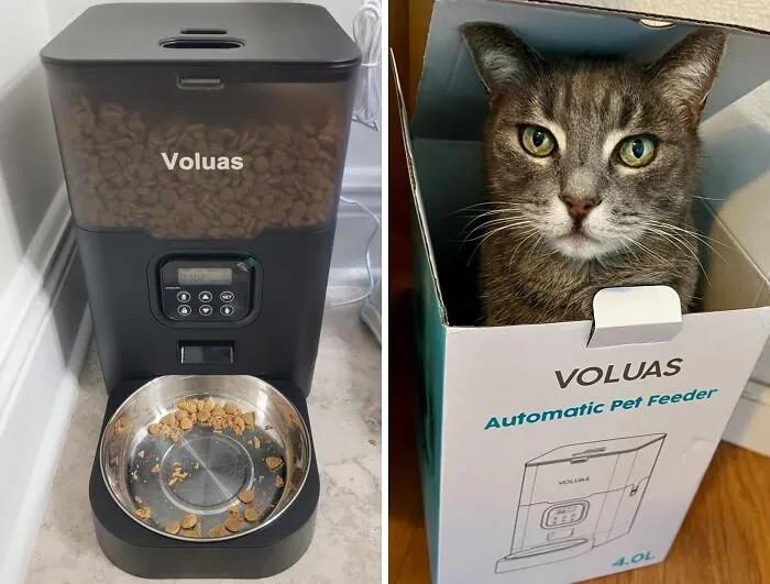 Heading Out Of Town And Worried About Whiskers' Meals? Keep Them Fed And Happy With A Convenient <a Style="Display:inline;" Href="Https://Www.amazon.com/Voluas-Automatic-Cat-Feeders-Dispenser/Dp/B09ld2cd1l?ie=utf8&th=1&linkcode=ll1&tag=bponion-20&linkid=ea49fb0f28151e5cdd2742d859391f9b&language=en_us&ref_=as_li_ss_tl" Target="_blank"><span Style="Font: Inherit; Color: #d74b1f;"> Automatic Cat Feeder</Span>