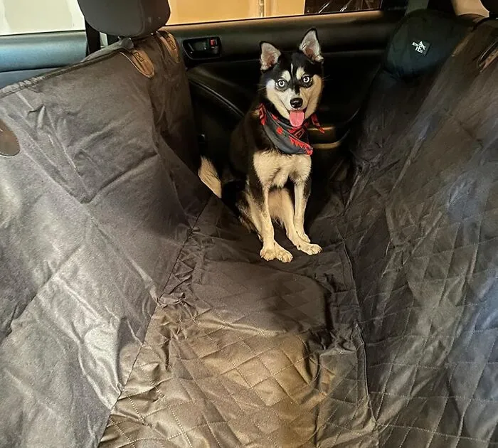 Tired Of Muddy Paws And Furry Messes In Your Truck? Protect Your Ride With A Rugged <a Style="Display:inline;" Href="Https://Www.amazon.com/Car-Seat-Cover-For-Dogs/Dp/B07g642rmq?ie=utf8&th=1&linkcode=ll1&tag=bponion-20&linkid=7ecbaa988b4bad22ef81ad296bceba7e&language=en_us&ref_=as_li_ss_tl" Target="_blank"><span Style="Font: Inherit; Color: #d74b1f;">  Dog Seat Cover For Trucks</Span>