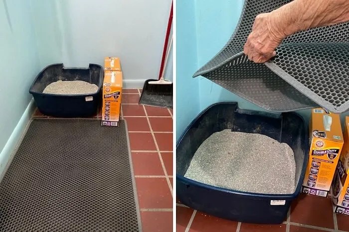 Tired Of Stepping On Cat Litter Landmines? Contain The Mess With This Genius <a Style="Display:inline;" Href="Https://Www.amazon.com/Pieviev-Anti-Tracking-Honeycomb-Waterproof-Furniture/Dp/B01mtqnk6h?ie=utf8&th=1&linkcode=ll1&tag=bponion-20&linkid=d7ab8fcd574ceaeee18ebc8640ebac38&language=en_us&ref_=as_li_ss_tl" Target="_blank"><span Style="Font: Inherit; Color: #d74b1f;"> Double Layer Cat Litter Mat</Span>