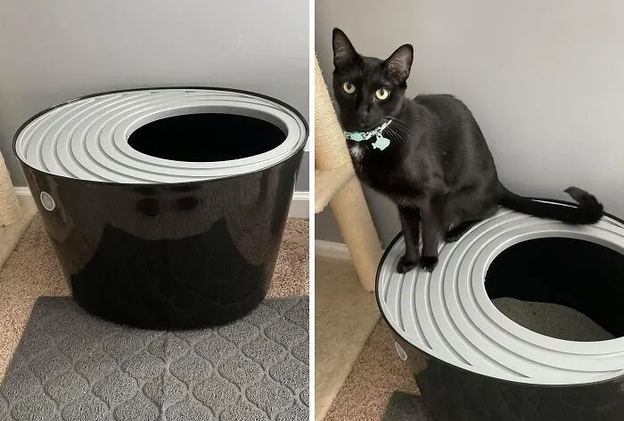 Tired Of Scooping The Old Litter Box? Upgrade To A Clean And Convenient <a Style="Display:inline;" Href="Https://Www.amazon.com/Iris-Entry-Litter-Black-Light/Dp/B075vt99xf?ie=utf8&th=1&linkcode=ll1&tag=bponion-20&linkid=a79eb7e0fb2fef8d2214dbec1f66d9f4&language=en_us&ref_=as_li_ss_tl" Target="_blank"><span Style="Font: Inherit; Color: #d74b1f;"> Enclosed Cat Litter Box</Span>
