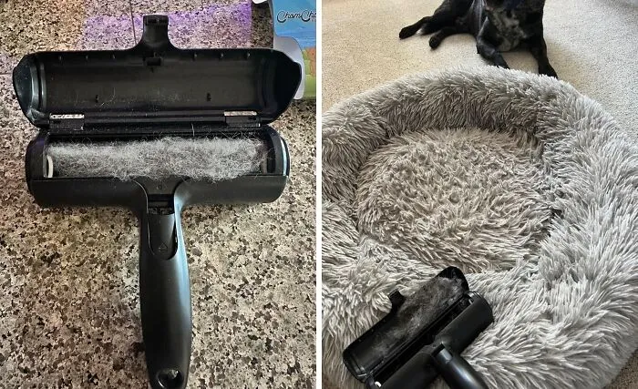 Fur-Covered Furniture Got You Down? Roll Away The Fluff With A Genius <a Style="Display:inline;" Href="Https://Www.amazon.com/Pet-Dog-Cat-Hair-Remover-Couch/Dp/B00bagtnaq?ie=utf8&th=1&linkcode=ll1&tag=bponion-20&linkid=7f5f273ecb9a5c383e776b2b20c0ce6b&language=en_us&ref_=as_li_ss_tl" Target="_blank"><span Style="Font: Inherit; Color: #d74b1f;"> Chom Chom Roller</Span>