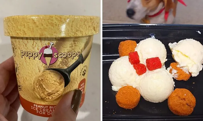 Want To Give Your Pup A Cool Treat On A Hot Day? Serve Up A Tasty And Healthy <a Style="Display:inline;" Href="Https://Www.amazon.com/Puppy-Scoops-Ice-Cream-Dogs/Dp/B00syu7jdy?ie=utf8&th=1&linkcode=ll1&tag=bponion-20&linkid=384e9fff0672555bc0eaf84825476ee0&language=en_us&ref_=as_li_ss_tl" Target="_blank"><span Style="Font: Inherit; Color: #d74b1f;"> Puppy Scoops Doggy Ice-Cream</Span>