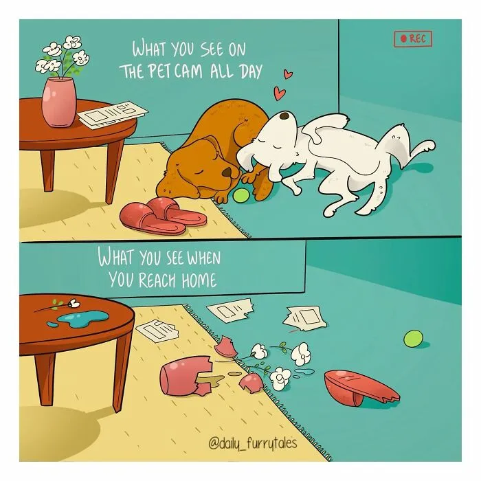 "Daily Furry Tales" Shares 30 New Comics Showing The Everyday Joys Of Living With Dogs