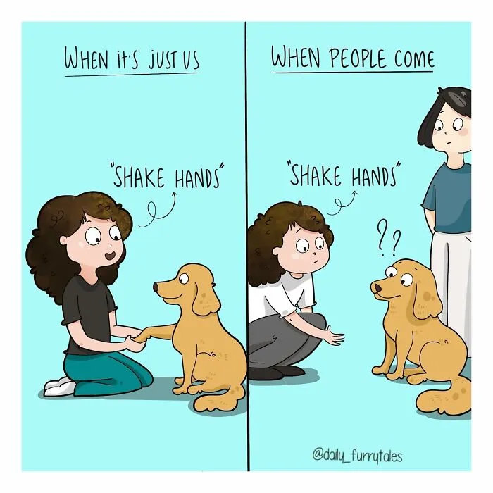 "Daily Furry Tales" Shares 30 New Comics Showing The Everyday Joys Of Living With Dogs