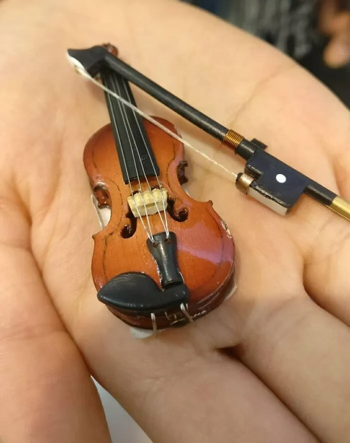 What Is This? A Violin For Ants?