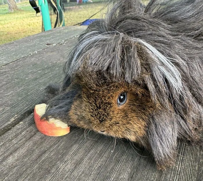 Please Tell My Parents They’re Terrible At Haircuts