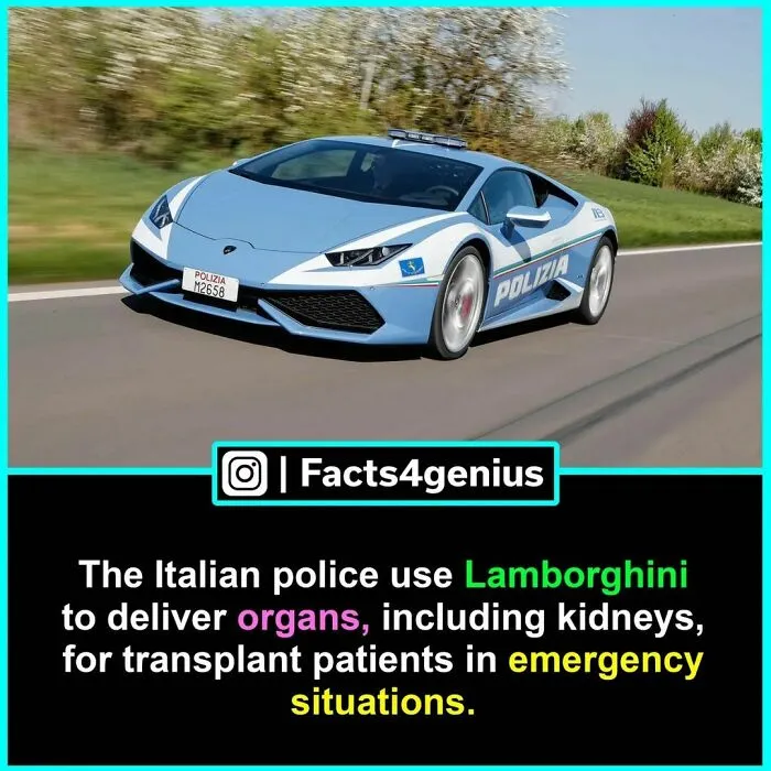 50 Posts From “Facts For Genius” That Might Teach You Something New (New Pics)