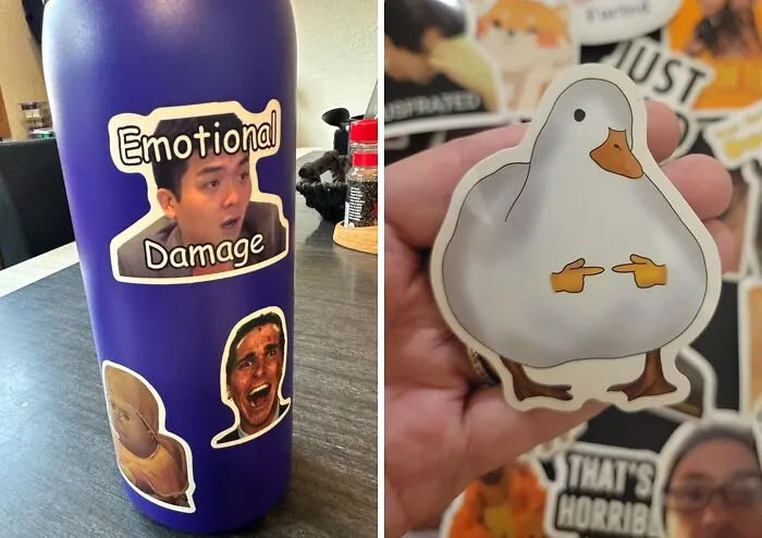Stick It To The Man (Or Your Coworkers) With <a Style="Display:inline;" Href="Https://Www.amazon.com/306pcs-Stickers-Sticker-Bottles-Computer/Dp/B0bkyn1s4b?ie=utf8&linkcode=ll1&tag=bpmelon-20&linkid=6ad632b1a6e69c058b29db2cb25f9081&language=en_us&ref_=as_li_ss_tl" Target="_blank"><span Style="Font: Inherit; Color: #d74b1f;"> 360 Funny Meme Vinyl Stickers</Span>, A Ridiculous Collection Of Meme-Tastic Stickers To Decorate Your Laptop, Water Bottle, Or Office Supplies