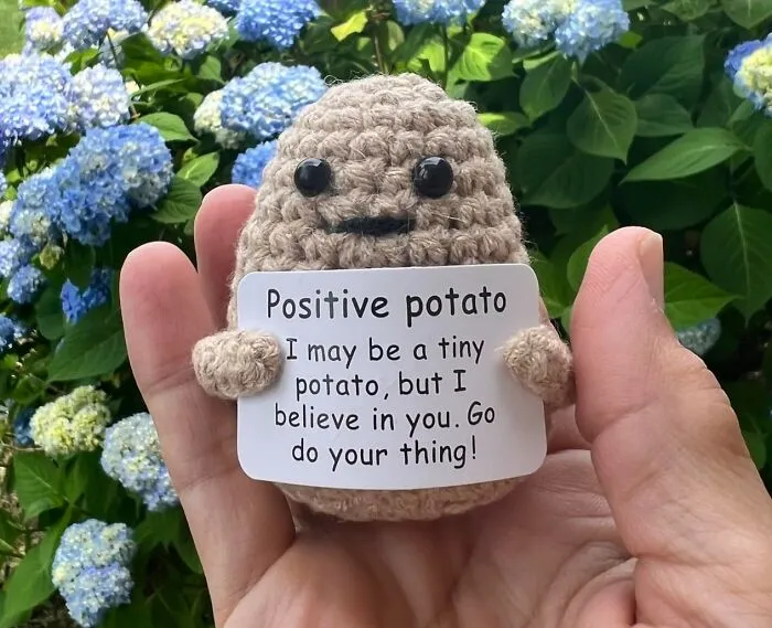 Get A Daily Dose Of Spud-Tacular Motivation With The <a Style="Display:inline;" Href="Https://Www.amazon.com/Positive-Inspirational-Halloween-Decoration-Encouragement/Dp/B0c2bj26p7?ie=utf8&th=1&linkcode=ll1&tag=bpmelon-20&linkid=202ccb7676954e87cfe0d6d57609c7c2&language=en_us&ref_=as_li_ss_tl" Target="_blank"><span Style="Font: Inherit; Color: #d74b1f;"> Positive Potato</Span>, A Ridiculously Charming Desk Buddy That's Guaranteed To Bring A Smile To Your Face And A Spring To Your Step