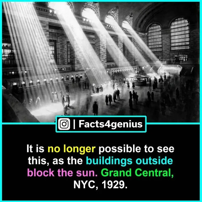 50 Posts From “Facts For Genius” That Might Teach You Something New (New Pics)