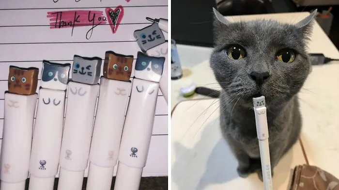 Purr-Fect Your Writing Game With The <a Style="Display:inline;" Href="Https://Www.amazon.com/Ganssia-Colorful-Design-0-38mm-Black/Dp/B01axcrbyc?ie=utf8&th=1&linkcode=ll1&tag=bporangutan-20&linkid=482f8df545c547eea369aef3a87910b6&language=en_us&ref_=as_li_ss_tl" Target="_blank"><span Style="Font: Inherit; Color: #d74b1f;"> Cute Cat Pens</Span>, A Set Of Adorably Whisker-Ific Writing Utensils That Are Guaranteed To Bring A Smile To Your Face And A Mew To Your Heart