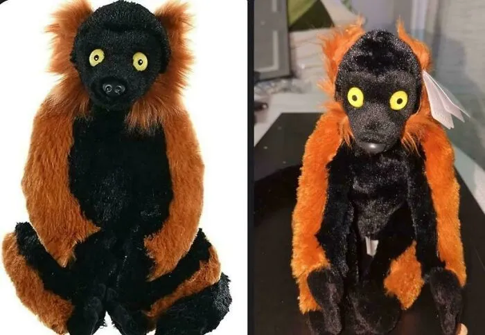 Pedí un lémur en Amazon, y conseguí a este tipo. Voy a ayudarle a pasar por lo que sea que esté pasando. Lo amo de todos modos.