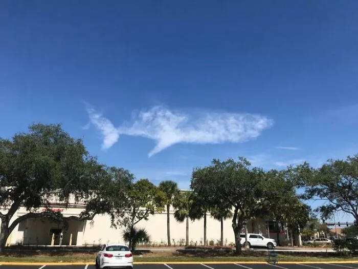 This Cloud Looks Like A Fish/Shark