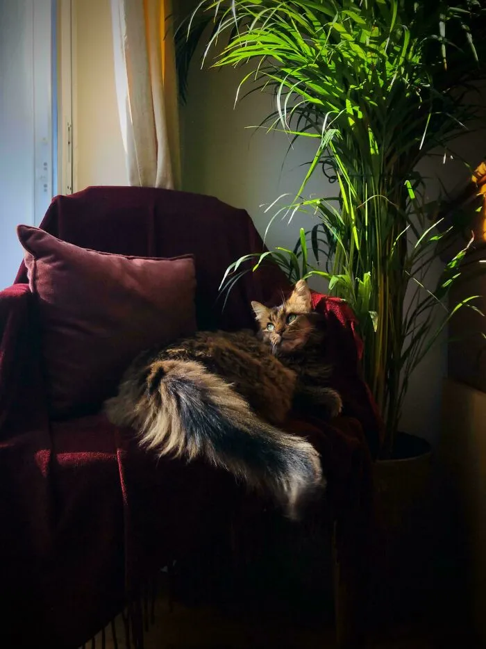 He Knows How To Pose For The Camera