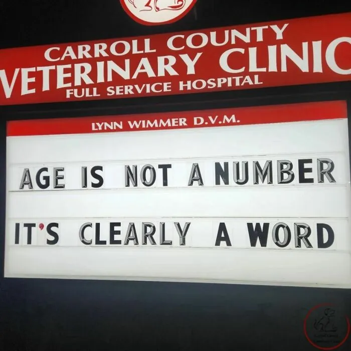 No Fleas, Just Jokes: 40 Signs That Had Tails Wagging (New Pics)