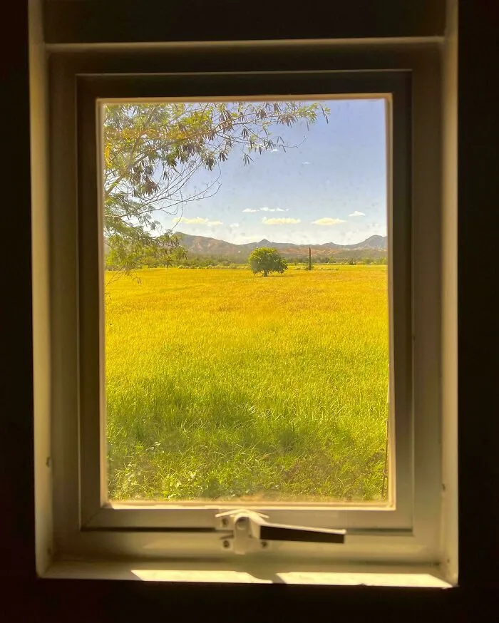 My Window’s View Looks Like A Painting