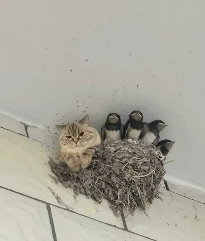 Hmmm