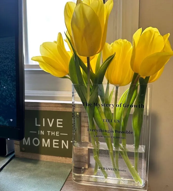 Brighten Up Their Space With A <a Style="Display:inline;" Href="Https://Www.amazon.com/Puransen-Bookend-Vase-Flowers-Bookshelf/Dp/B0c2q9cj5w?ie=utf8&th=1&linkcode=ll1&tag=bptapir-20&linkid=1a1ccb118ad8080ba940ac030da53f41&language=en_us&ref_=as_li_ss_tl" Target="_blank"><span Style="Font: Inherit; Color: #d74b1f;"> Clear Book Vase</Span> Filled With Fresh Flowers, A Thoughtful Touch That Adds A Warm And Welcoming Touch To Their Room