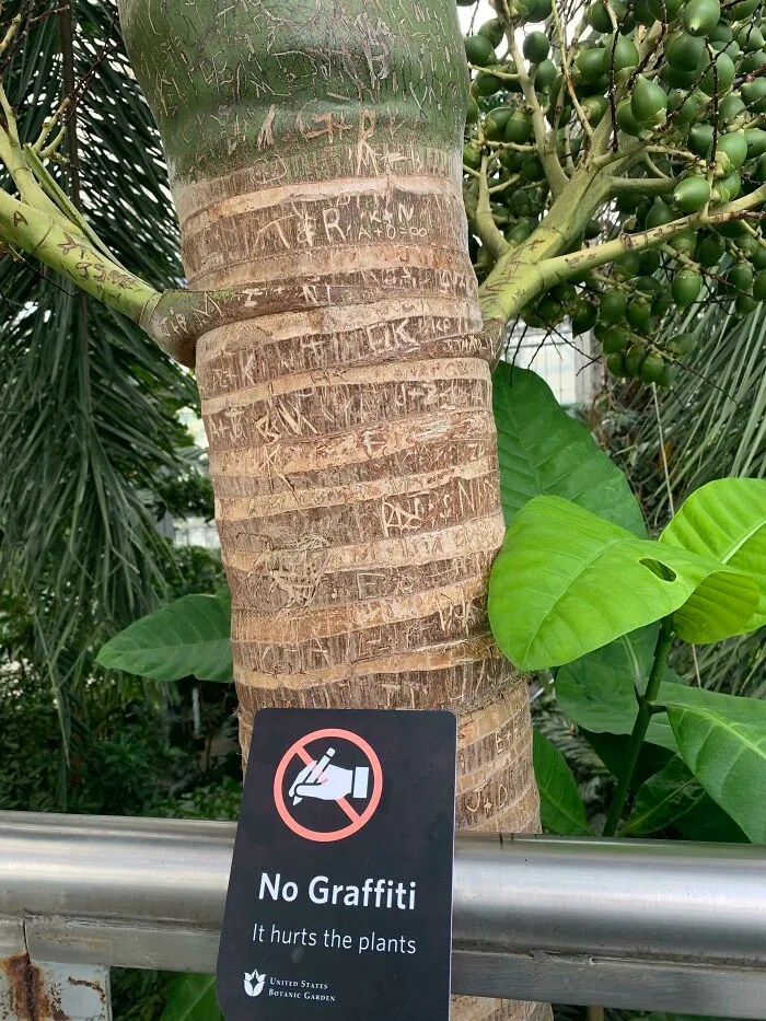 People Have No Respect For Nature