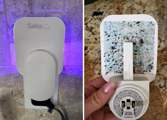 Catch Those Pesky Flies With The <a Style="Display:inline;" Href="Https://Www.amazon.com/Safer-Brand-Sh502-Chemical-Insects/Dp/B09t3t1fyn?ie=utf8&th=1&linkcode=ll1&tag=bpalpaca-20&linkid=8035f3b8bad0e3689849160147575551&language=en_us&ref_=as_li_ss_tl" Target="_blank"><span Style="Font: Inherit; Color: #d74b1f;"> Indoor Fly Trap</Span>, A Discreet And Effective Solution That Uses UV Light And Sticky Surfaces To Capture And Eliminate Flies
