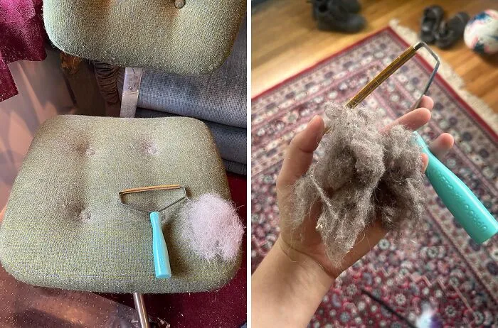 Say Goodbye To Pesky Pet Hair With The <a Style="Display:inline;" Href="Https://Www.amazon.com/Uproot-Cleaner-Reusable-Hair-Remover/Dp/B09lnx88yk?ie=utf8&linkcode=ll1&tag=bpalpaca-20&linkid=e45abf841ba95fe6ade5afa1fc9ffa0d&language=en_us&ref_=as_li_ss_tl" Target="_blank"><span Style="Font: Inherit; Color: #d74b1f;"> Uproot Pet Hair Remover</Span>, A Clever And Effective Tool That Lifts And Removes Unwanted Fur From Furniture, Clothing, And More