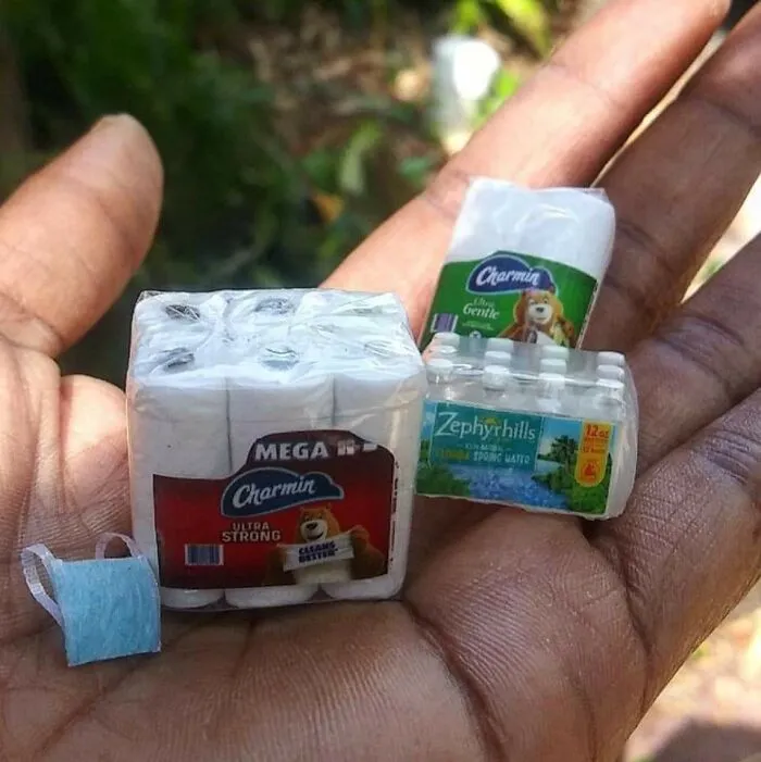 What Is This? Quarantine For Ants?