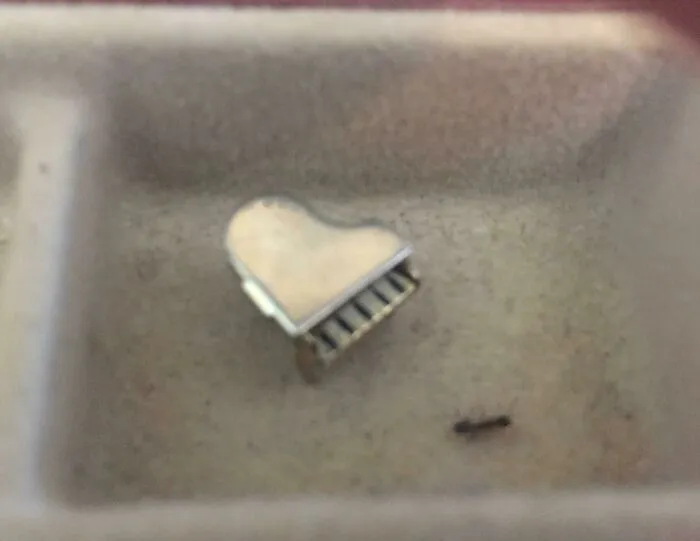 What Is This? A Baby Baby Baby Grand Piano For Ants?