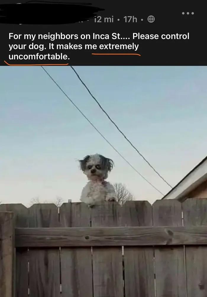 Found On Nextdoor