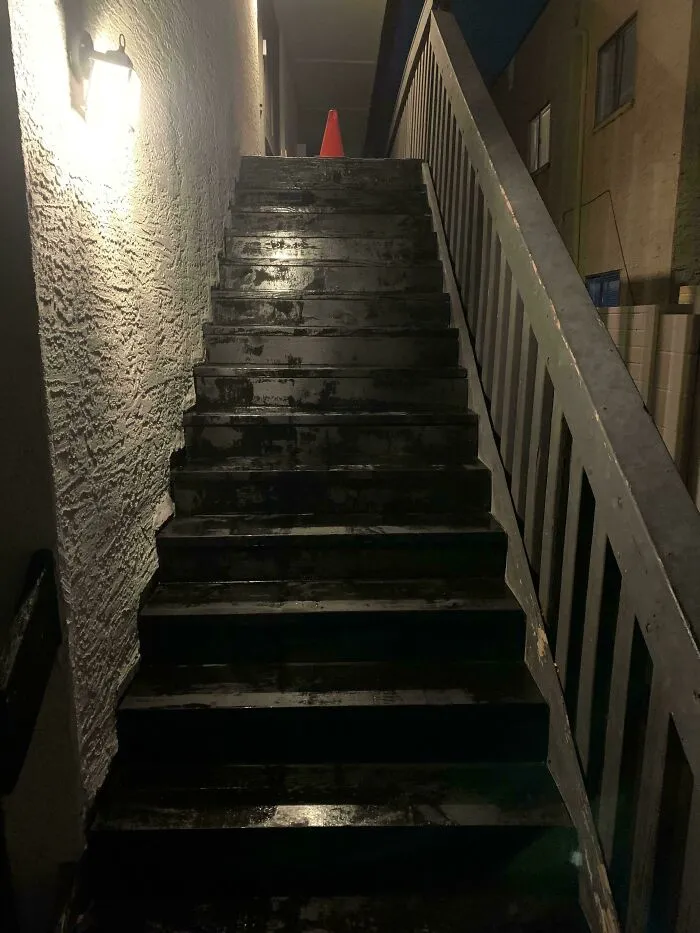 I Came Back From Thanksgiving To Find That My Landlord Had Revarnished/Painted The Stairs Up To My Apartment. They Are Still Wet, I Was Given No Notice, And There Is Only One Staircase