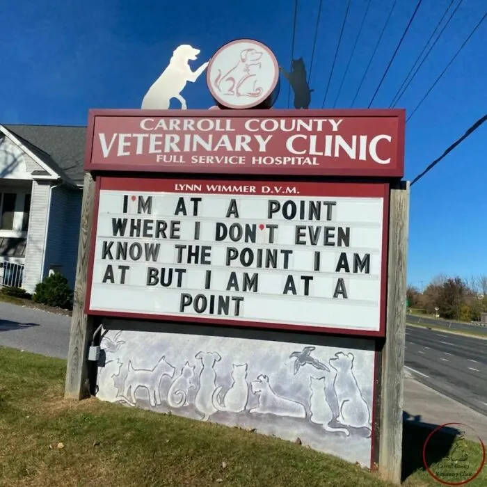 No Fleas, Just Jokes: 40 Signs That Had Tails Wagging (New Pics)