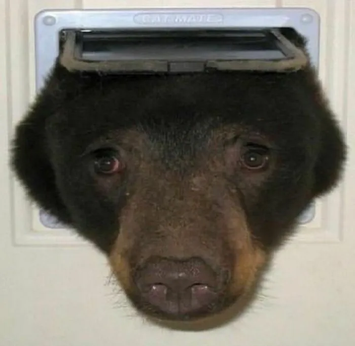 50 Awkward Photos That Are Almost Too Painful To Scroll Through