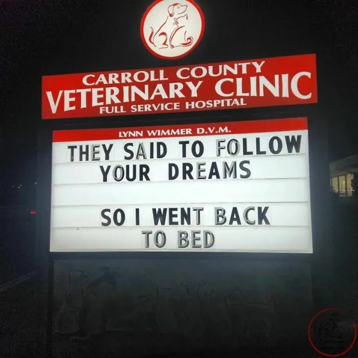 No Fleas, Just Jokes: 40 Signs That Had Tails Wagging (New Pics)