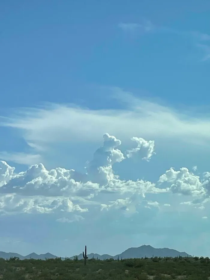 Just A Bear Cloud