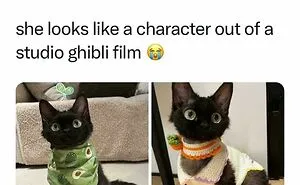 50 Memes That Cat Owners Might Find Relatable