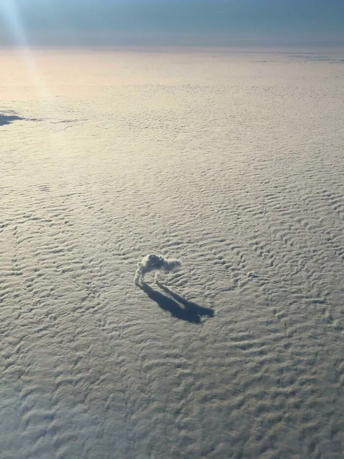 Just A Camel Wandering In A Desert Of Clouds